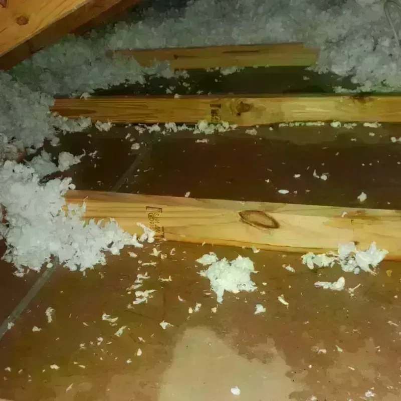 Attic Water Damage in Leflore County, MS